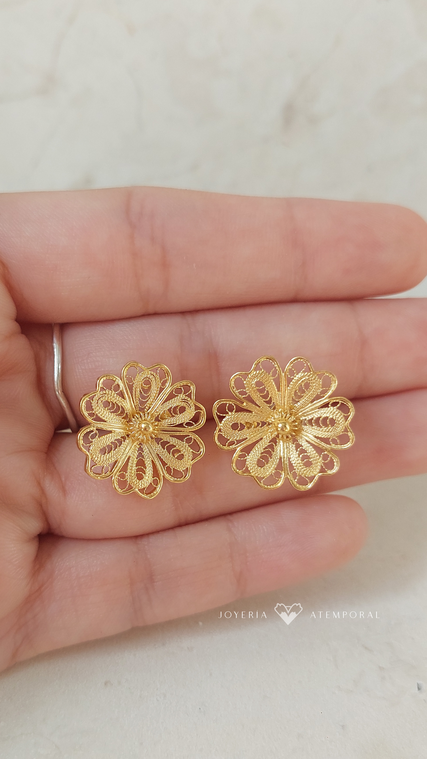 Aretes de Filigrana de Plata Flor Corazón y Escarcha