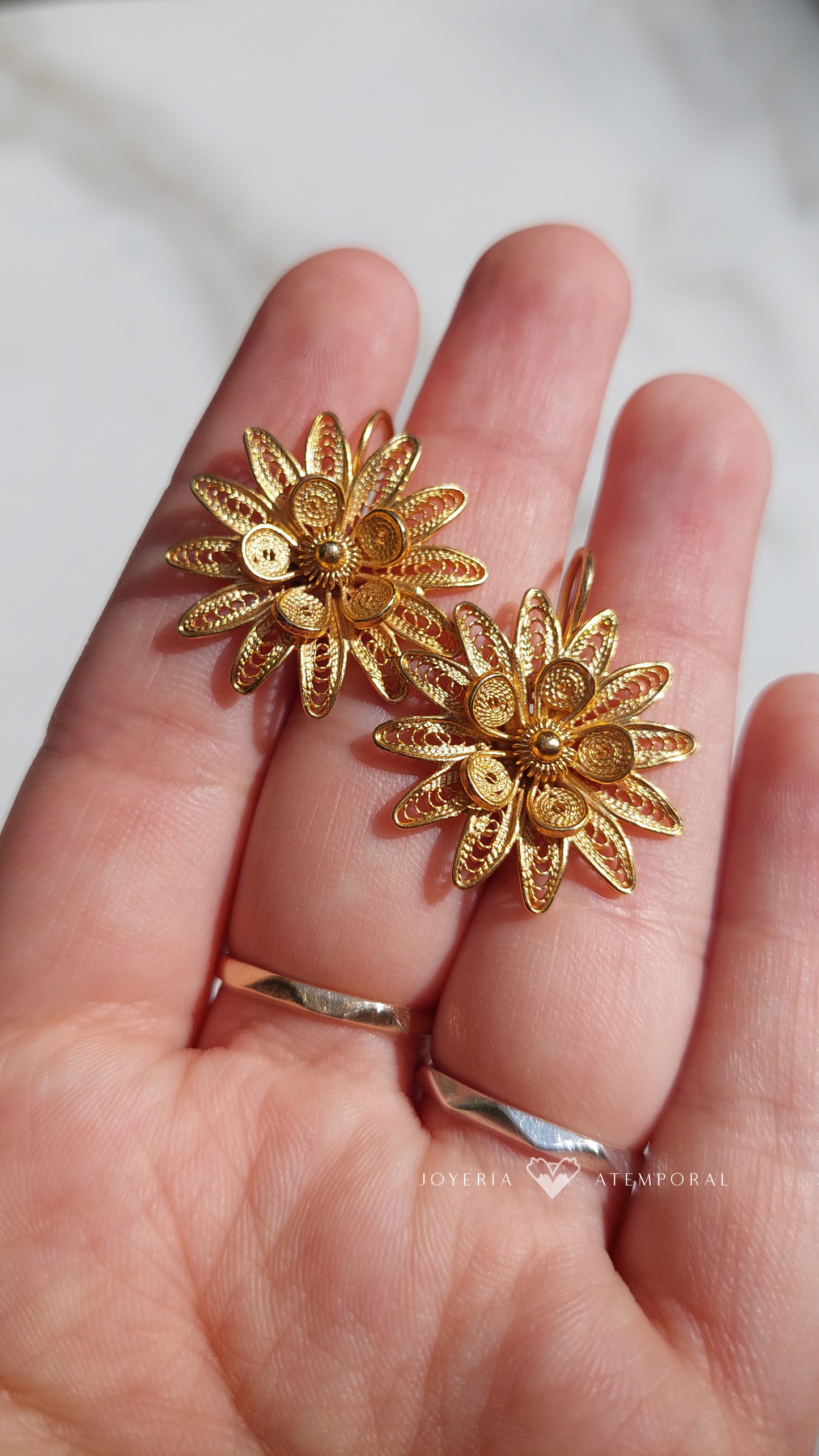 Aretes de Filigrana de Plata Gancho Doble Flor Puntas con Escarcha